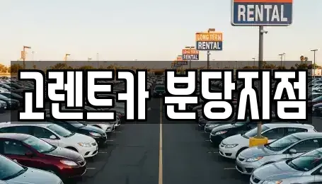 경기 수원시 권선구 평동 단기렌트카 전문 고렌트카 분당지점