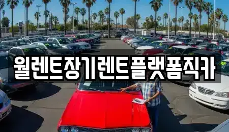 경기 수원시 권선구 평동 장기렌트카 전문 월렌트장기렌트플랫폼직카