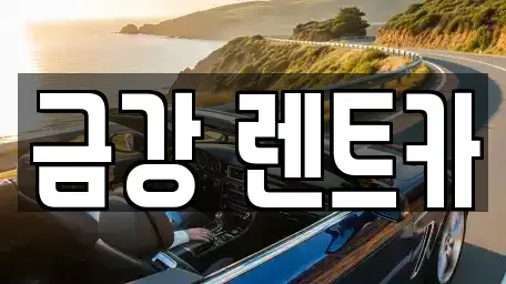 경기 수원시 팔달구 인계동 렌트카 전문 금강 렌트카