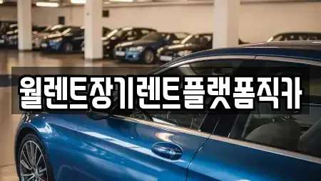 경기 시흥시 매화동 렌트카 전문 월렌트장기렌트플랫폼직카