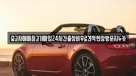 경기 시흥시 매화동 중고차,렌트카,중고차매입,중고차매매,장기렌트카,단기렌트카