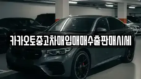 경기 시흥시 매화동 중고차 전문 카카오토중고차매입매매수출판매시세