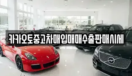 경기 평택시 지제동 중고차매입 전문 카카오토중고차매입매매수출판매시세