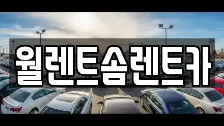 경기 화성시 진안동 렌트카 전문 월렌트솜렌트카
