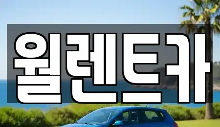 경기 화성시 진안동 렌트카 전문 월렌트카