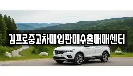경기 화성시 진안동 중고차매입 전문 김프로중고차매입판매수출매매센터