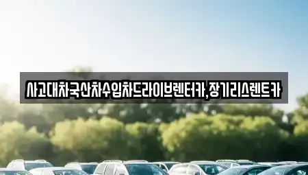 경기도 시흥시 금이동 렌트카 전문 사고대차국산차수입차드라이브렌터카,장기리스렌트카