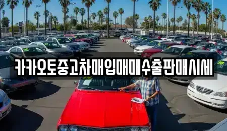 경기도 시흥시 금이동 중고차 전문 카카오토중고차매입매매수출판매시세