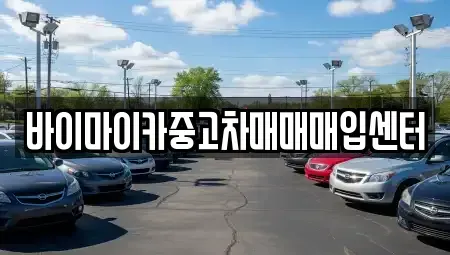 경기도 시흥시 금이동 중고차매입 전문 바이마이카중고차매매매입센터