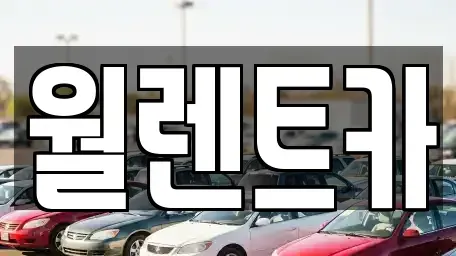 경기도 안산시 상록구 양상동 렌트카 전문 월렌트카