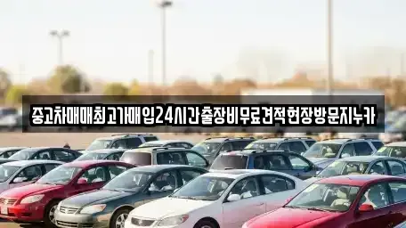 경기도 안산시 상록구 양상동 중고차매입 전문 중고차매매최고가매입24시간출장비무료견적현장방문지누카