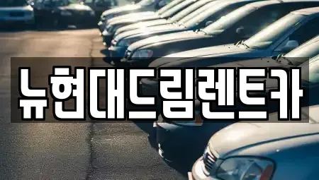 경기도 안산시 상록구 장하동 렌트카 전문 뉴현대드림렌트카