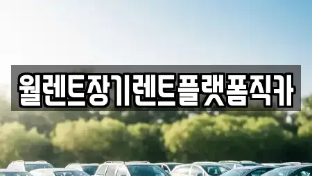 경기도 오산시 탑동 장기렌트카 전문 월렌트장기렌트플랫폼직카