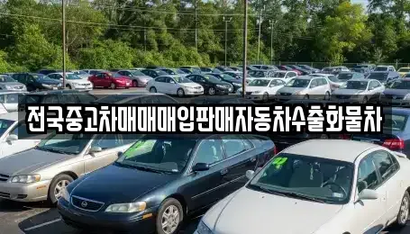 경기도 오산시 탑동 중고차매입 전문 전국중고차매매매입판매자동차수출화물차