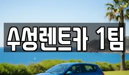 경북 구미시 지산동 렌트카 전문 수성렌트카 1팀