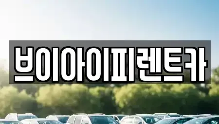 경북 구미시 지산동 장기렌트카 전문 브이아이피렌트카