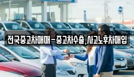 경북 구미시 지산동 중고차 전문 전국중고차매매-중고차수출,사고노후차매입