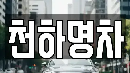 경북 김천시 남면 중고차매입 전문 천하명차