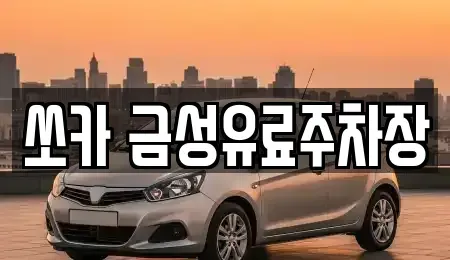 경북 안동시 신안동 렌트카 전문 쏘카 금성유료주차장