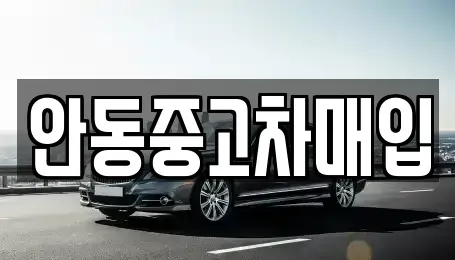 경북 안동시 신안동 중고차 전문 안동중고차매입