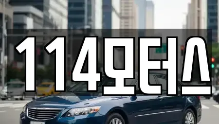 경북 포항시 북구 청하면 중고차 전문 114모터스