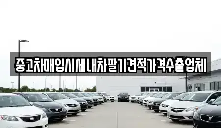 경상남도 거창군 마리면 중고차 전문 중고차매입시세내차팔기견적가격수출업체