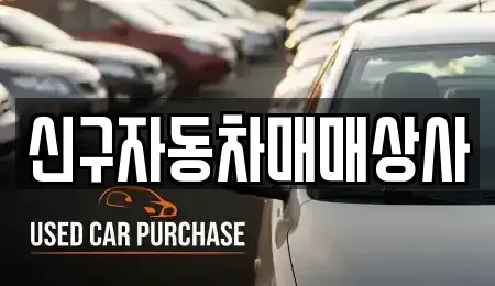 경상남도 진주시 가좌동 중고차 전문 신구자동차매매상사