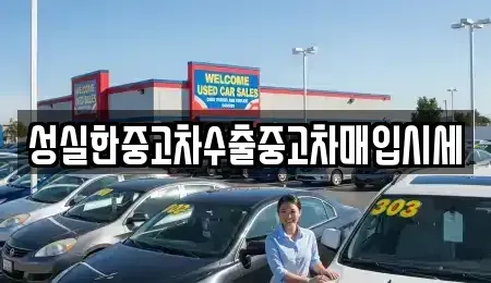 경상남도 진주시 남성동 중고차매입 전문 성실한중고차수출중고차매입시세