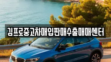 경상북도 경주시 북군동 중고차매매 전문 김프로중고차매입판매수출매매센터