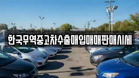 경상북도 의성군 금성면 중고차 전문 한국무역중고차수출매입매매판매시세
