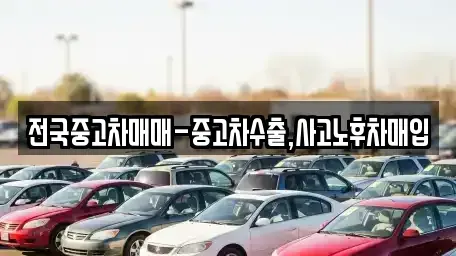 경상북도 포항시 남구 대도동 중고차매입 전문 전국중고차매매-중고차수출,사고노후차매입