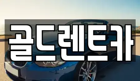 경상북도 포항시 북구 동빈2가 렌트카 전문 골드렌트카