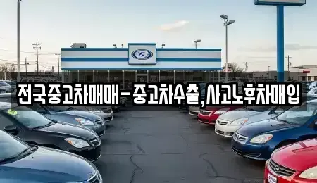 경상북도 포항시 북구 동빈2가 중고차 전문 전국중고차매매-중고차수출,사고노후차매입