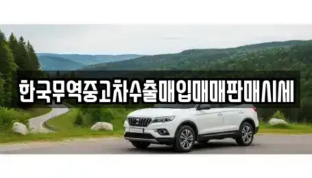 광주 남구 방림동 중고차 전문 한국무역중고차수출매입매매판매시세