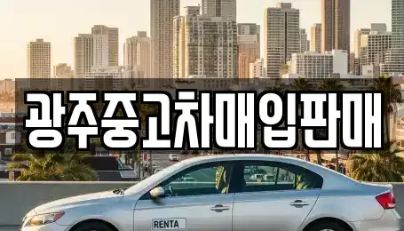 광주광역시 광산구 쌍암동 중고차매매 전문 광주중고차매입판매