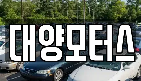 광주광역시 남구 구동 중고차 전문 대양모터스