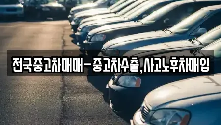 광주광역시 남구 구동 중고차 전문 전국중고차매매-중고차수출,사고노후차매입
