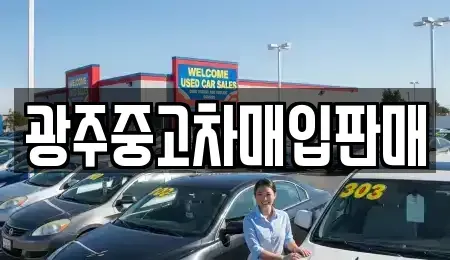 광주광역시 남구 구동 중고차매입 전문 광주중고차매입판매