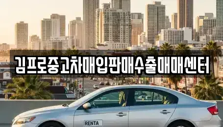 광주광역시 남구 구동 중고차매입 전문 김프로중고차매입판매수출매매센터