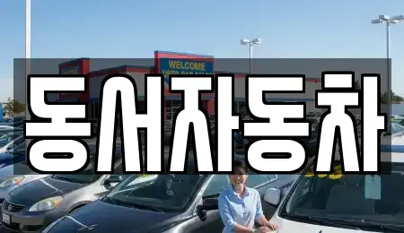 대구 군위군 효령면 중고차 전문 동서자동차