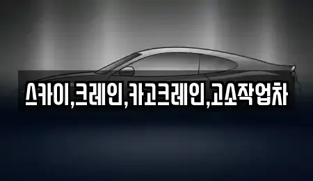 대구 군위군 효령면 중고차 전문 스카이,크레인,카고크레인,고소작업차
