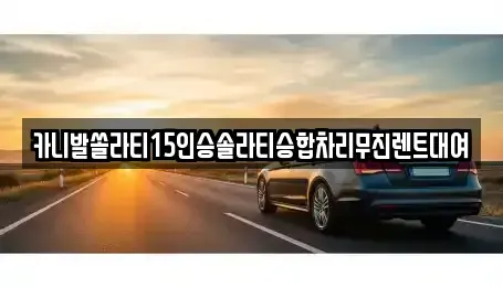 대구 서구 원대동2가 렌트카 전문 카니발쏠라티15인승솔라티승합차리무진렌트대여