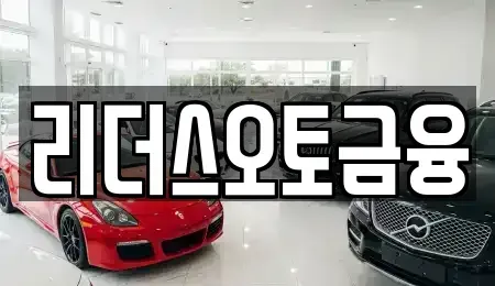 대구 서구 원대동2가 장기렌트카 전문 리더스오토금융