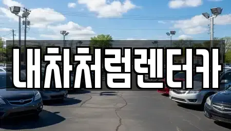 대구광역시 군위군 부계면 렌트카,단기렌트카,장기렌트카,중고차,중고차매매,중고차매입