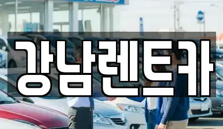 대전 서구 괴정동 렌트카 전문 강남렌트카