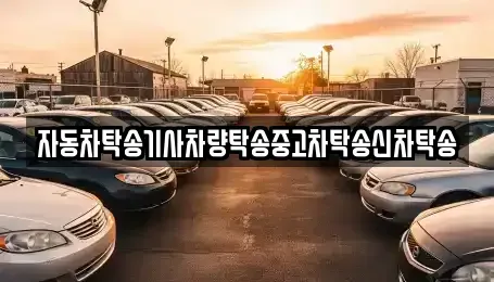 대전 서구 괴정동 중고차 전문 자동차탁송기사차량탁송중고차탁송신차탁송