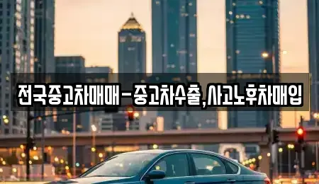 대전 서구 괴정동 중고차 전문 전국중고차매매-중고차수출,사고노후차매입