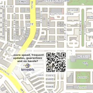 대전 서구 괴정동 중고차매매 대전중고차매입성진 위치