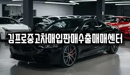 대전 서구 괴정동 중고차매입 전문 김프로중고차매입판매수출매매센터
