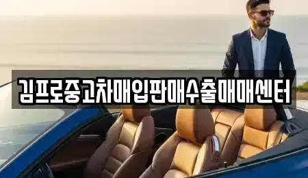 대전 서구 괴정동 중고차매입 전문 김프로중고차매입판매수출매매센터